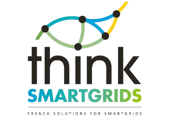 Think SmartGrids logo