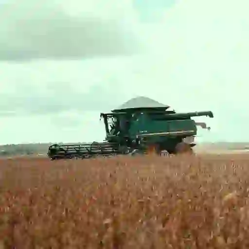 Prévisions intersaisonnières issues du modèle ECMWF Extended Range, jusqu'à 4 semaines d'échéance.